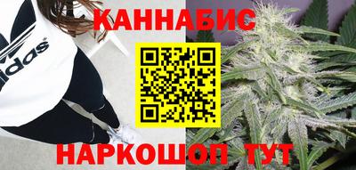 мдпв Партизанск