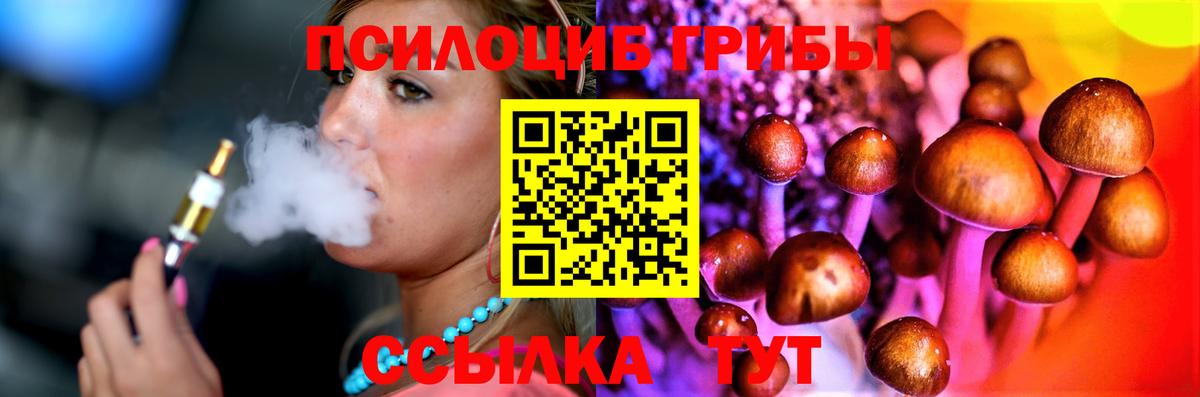 Тосно  Галлюциногенные грибы мухоморы  Вход с VPN 